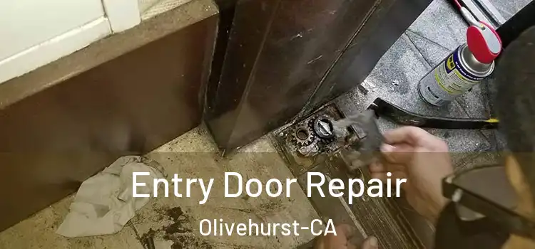  Entry Door Repair Olivehurst-CA
