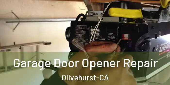  Garage Door Opener Repair Olivehurst-CA