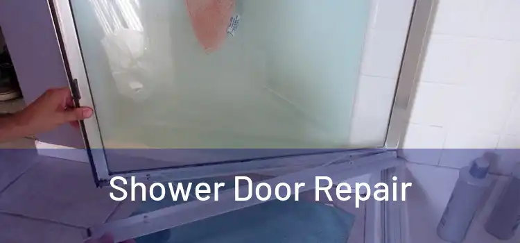  Shower Door Repair 
